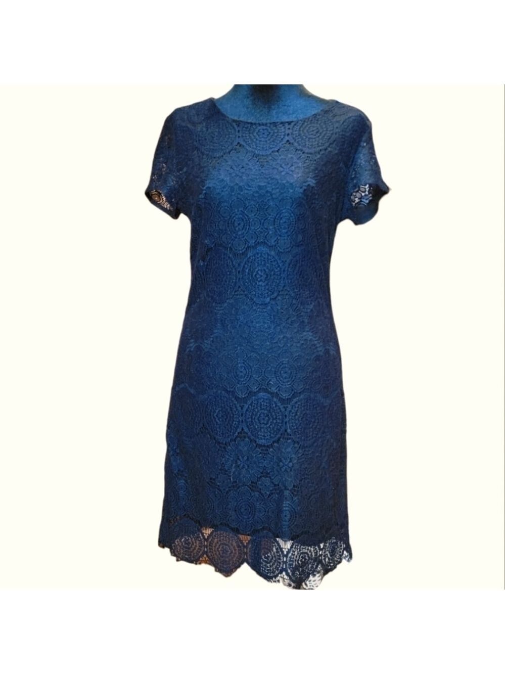 NWOT Laundry by Shelly Segal
